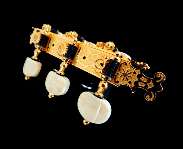 Clavijero Master Gold 20-A4